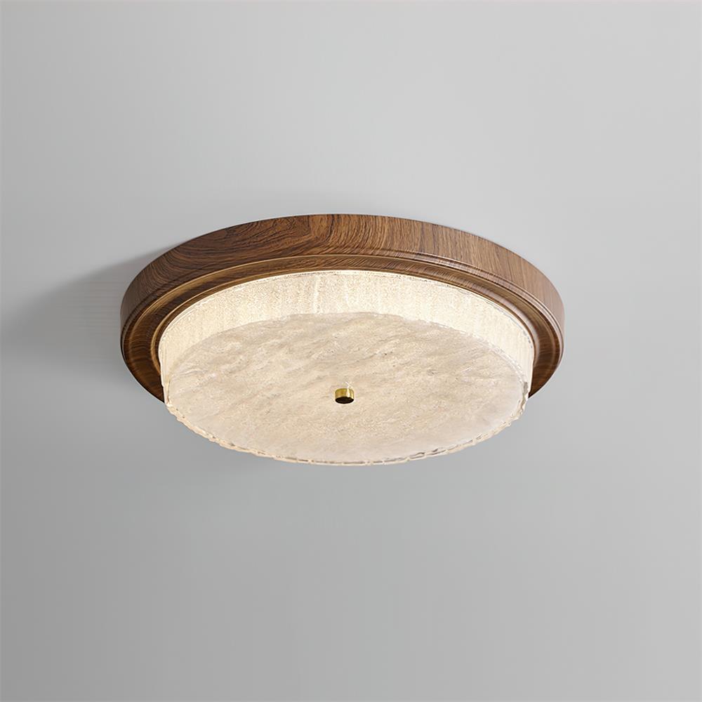 Rays Ceiling Light