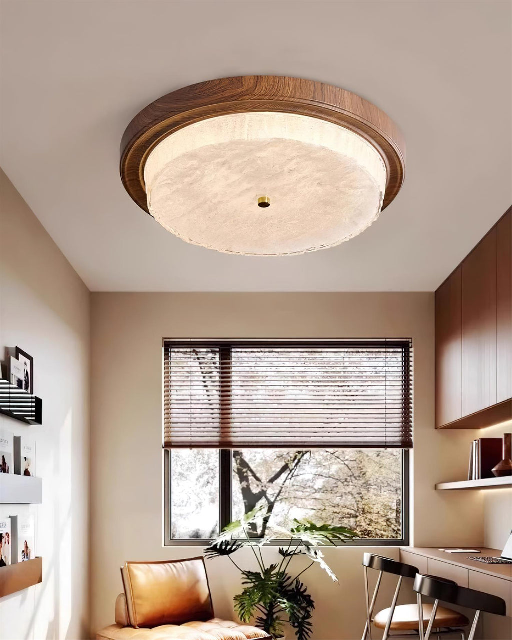 Rays Ceiling Light