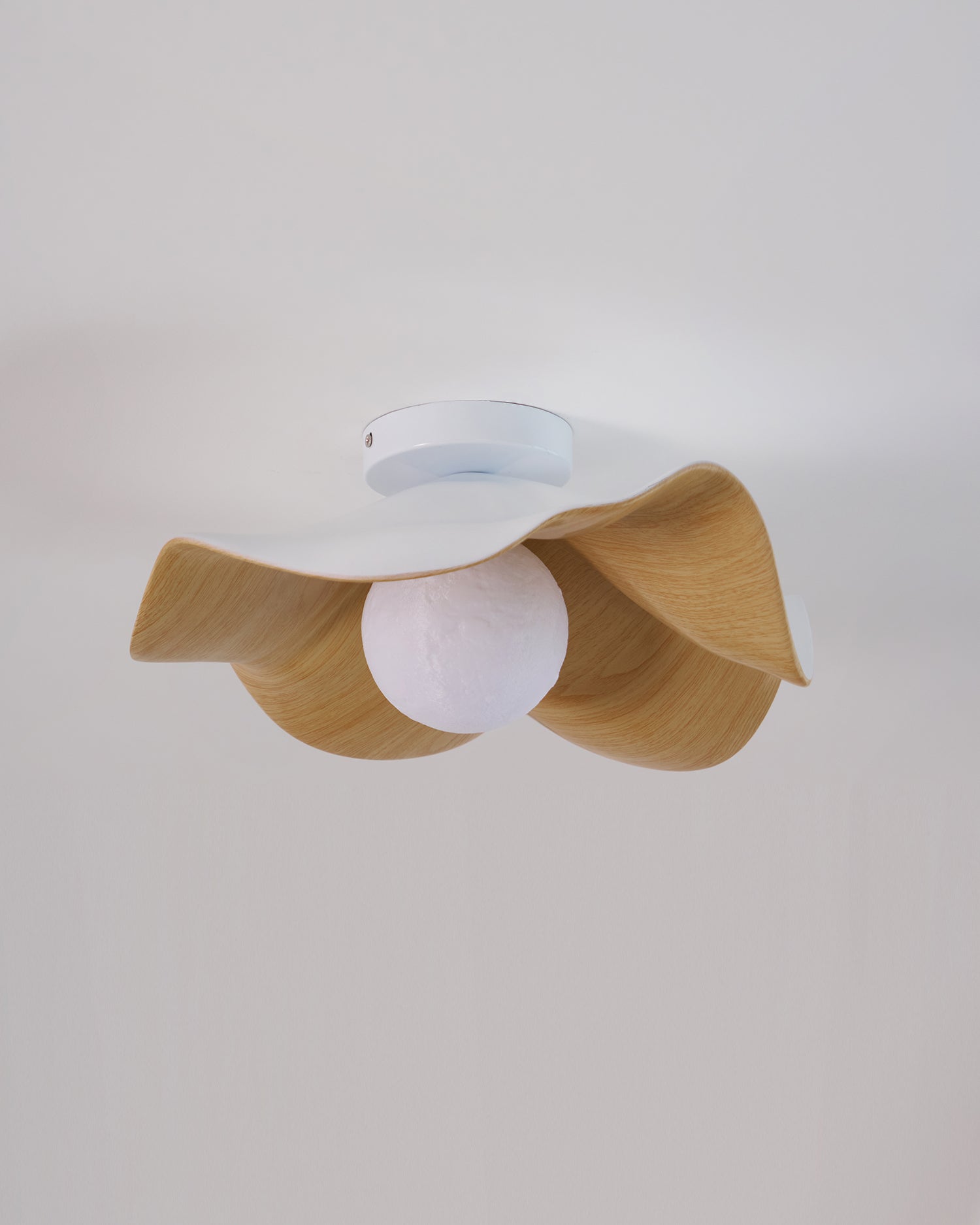 Casia Ceiling Light
