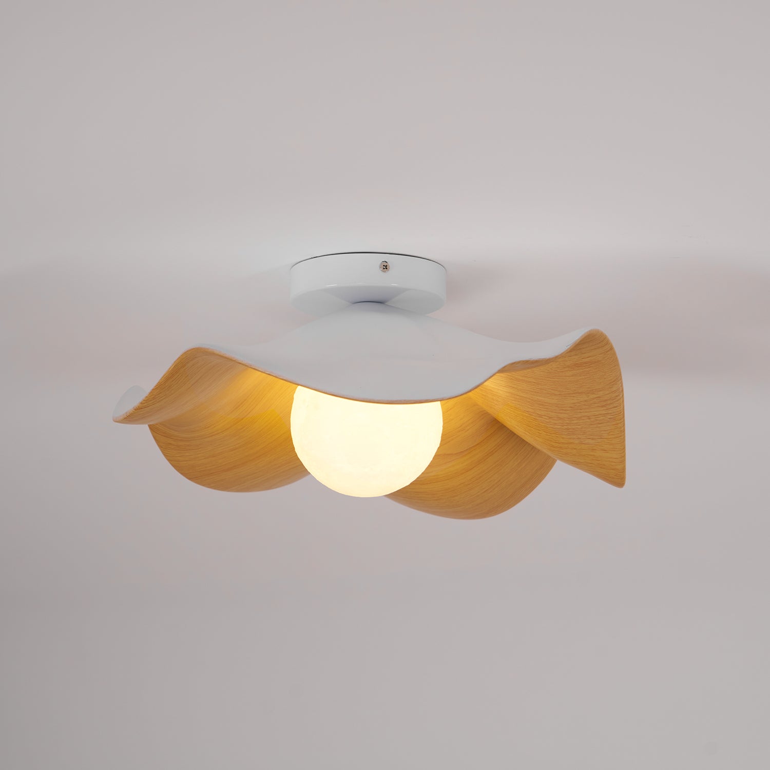 Casia Ceiling Light