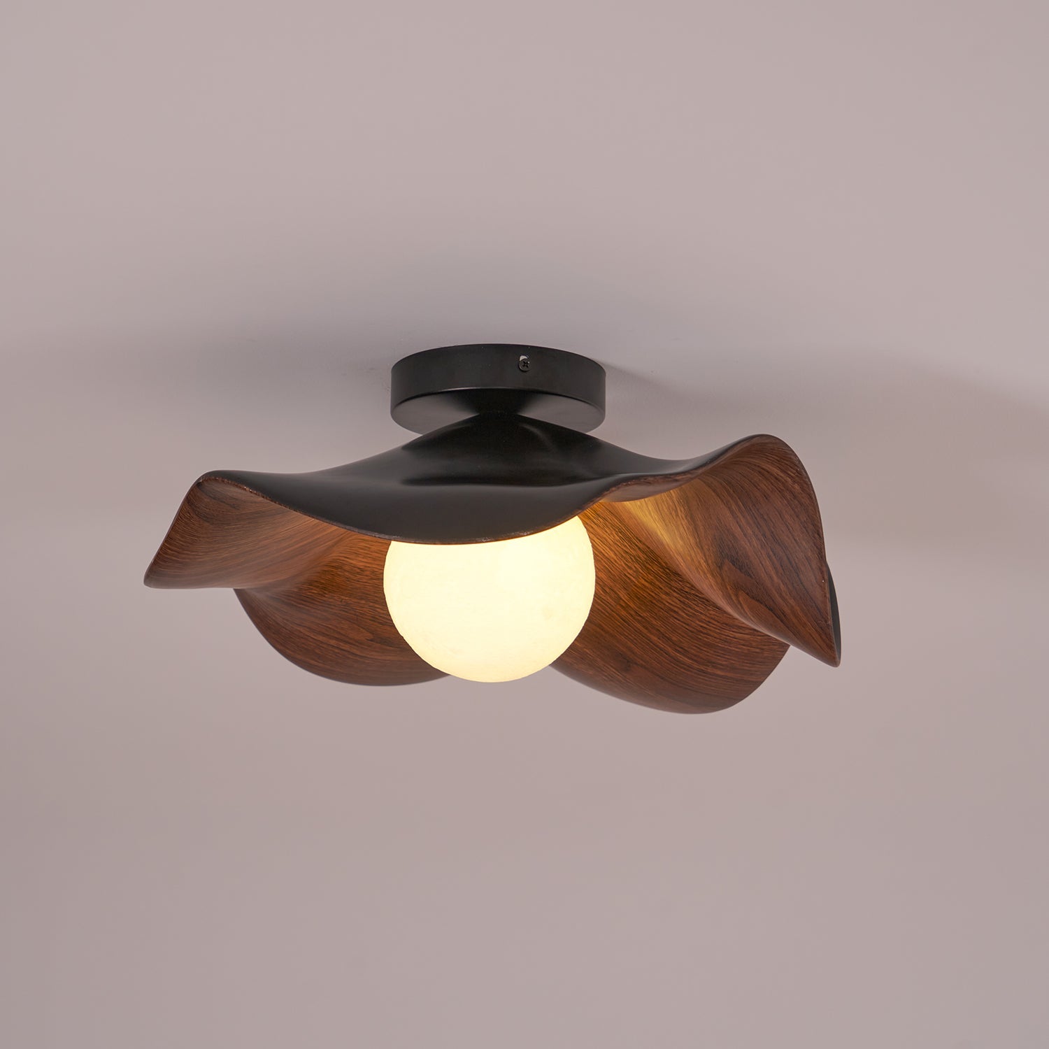 Casia Ceiling Light