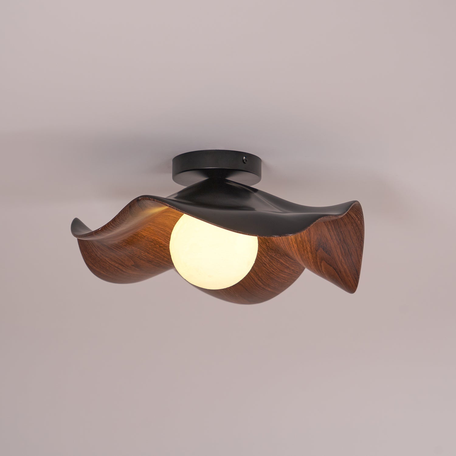 Casia Ceiling Light