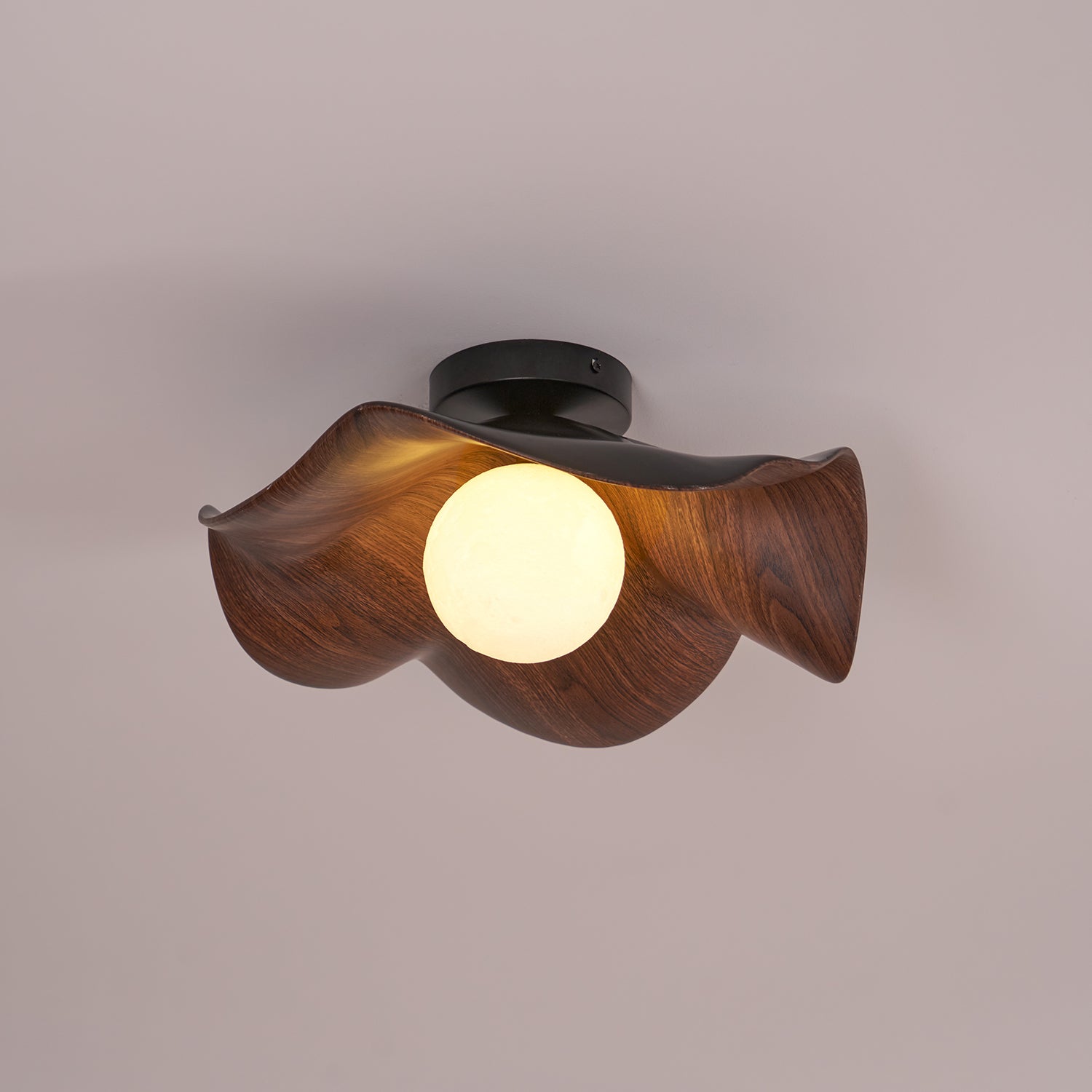 Casia Ceiling Light