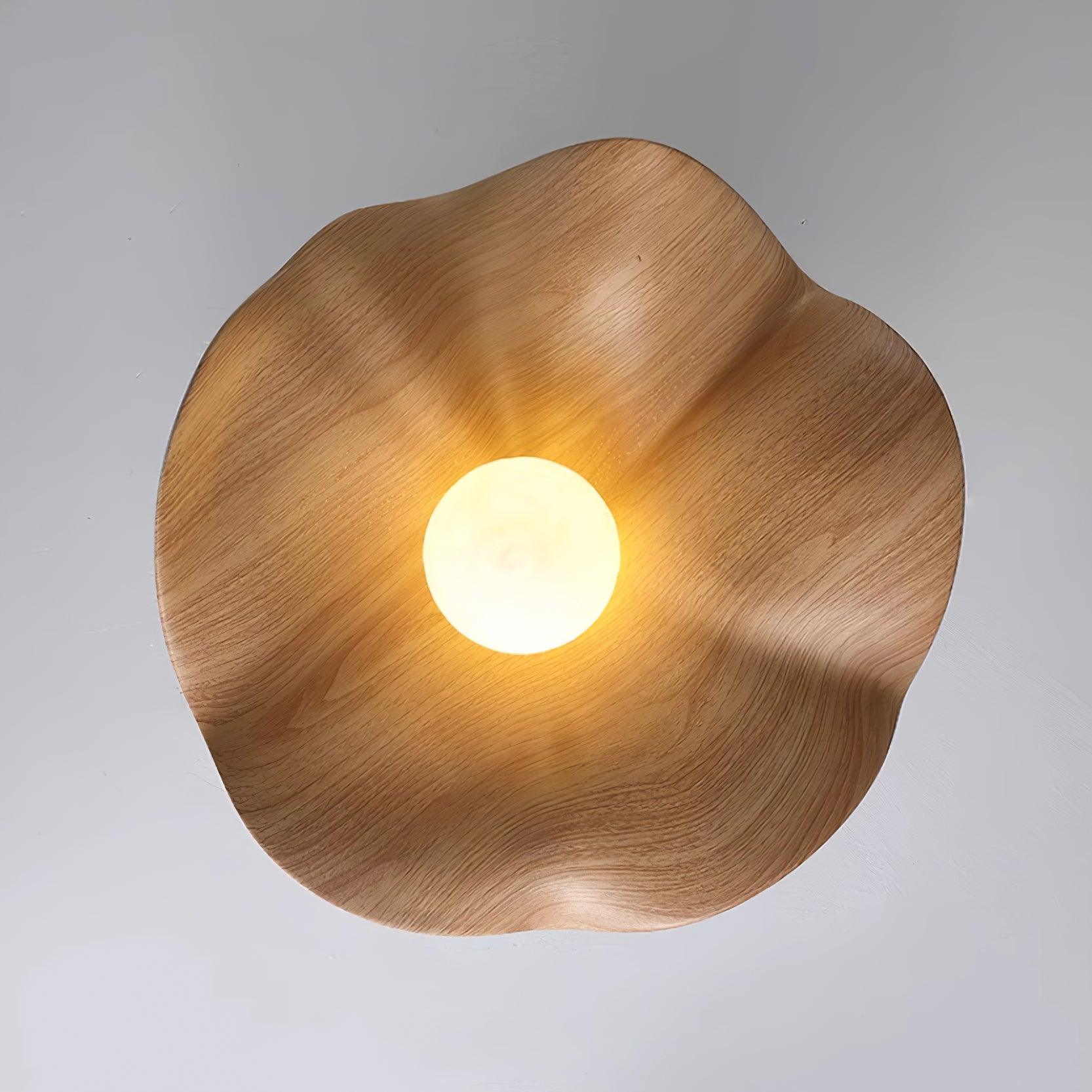 Casia Ceiling Light
