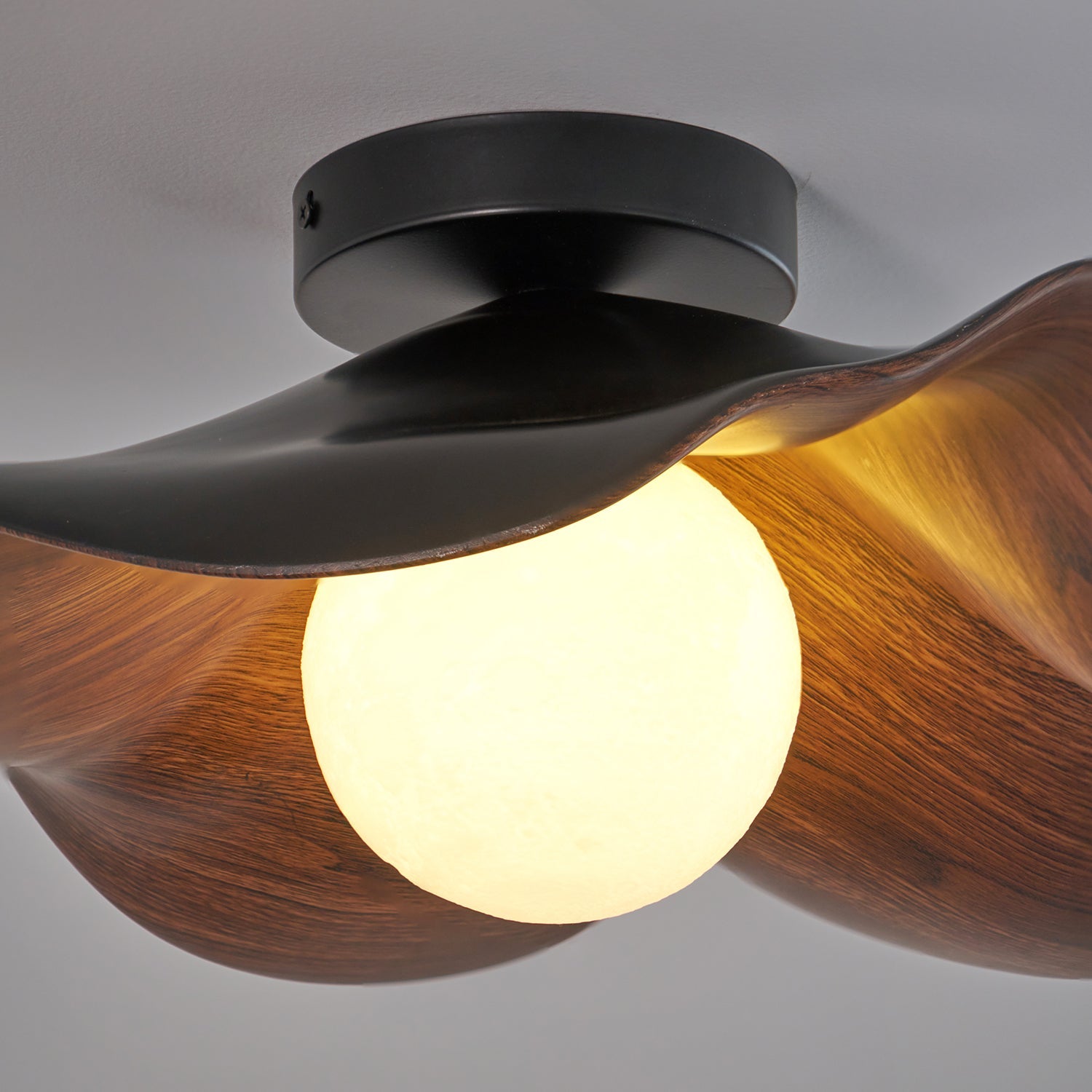 Casia Ceiling Light
