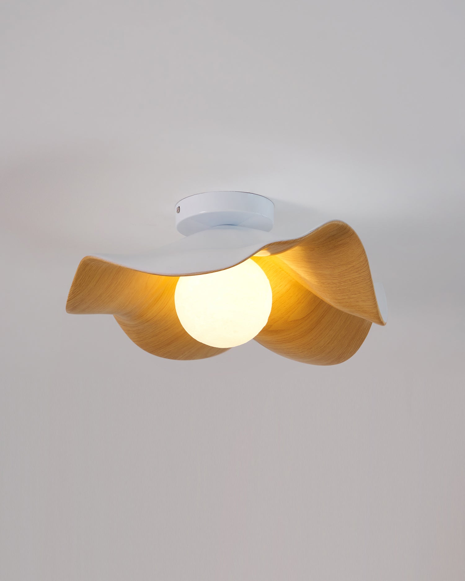 Casia Ceiling Light