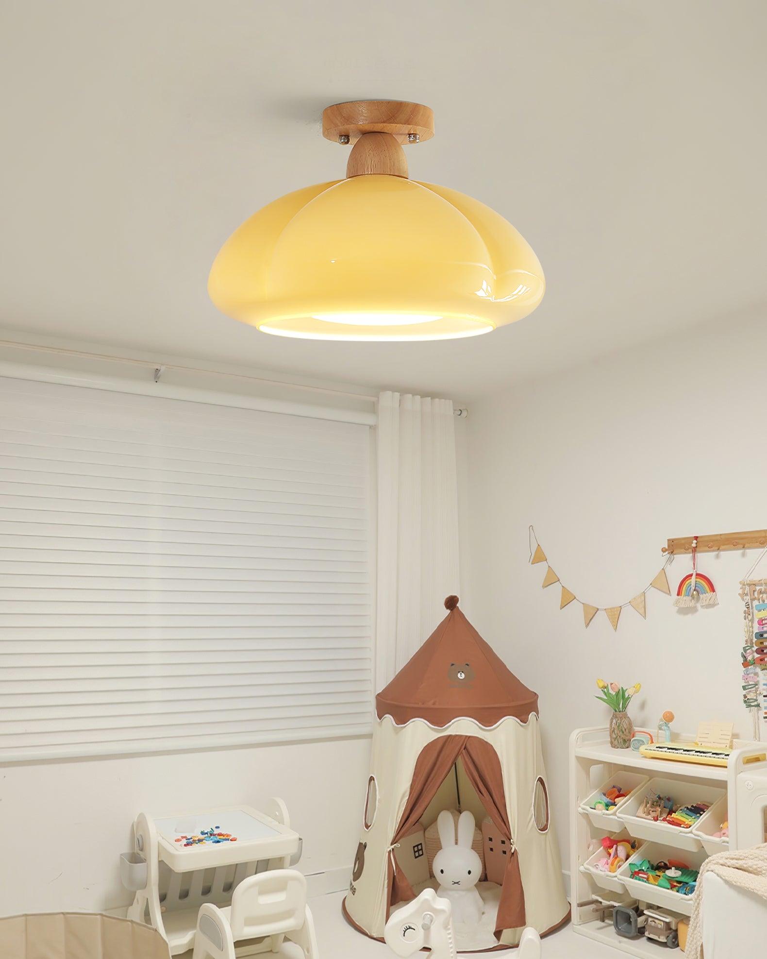 Cipola Ceiling Light