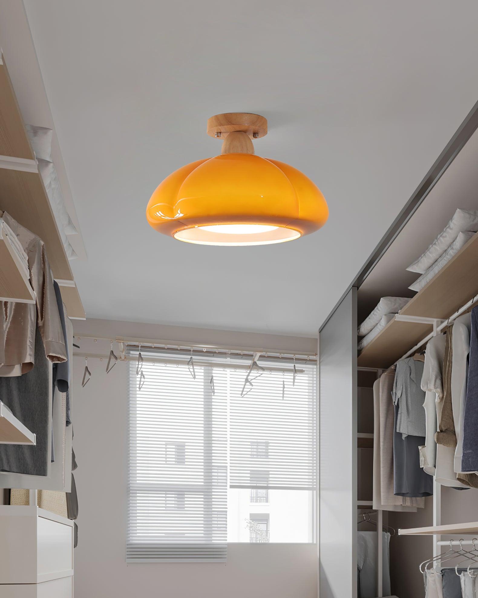 Cipola Ceiling Light