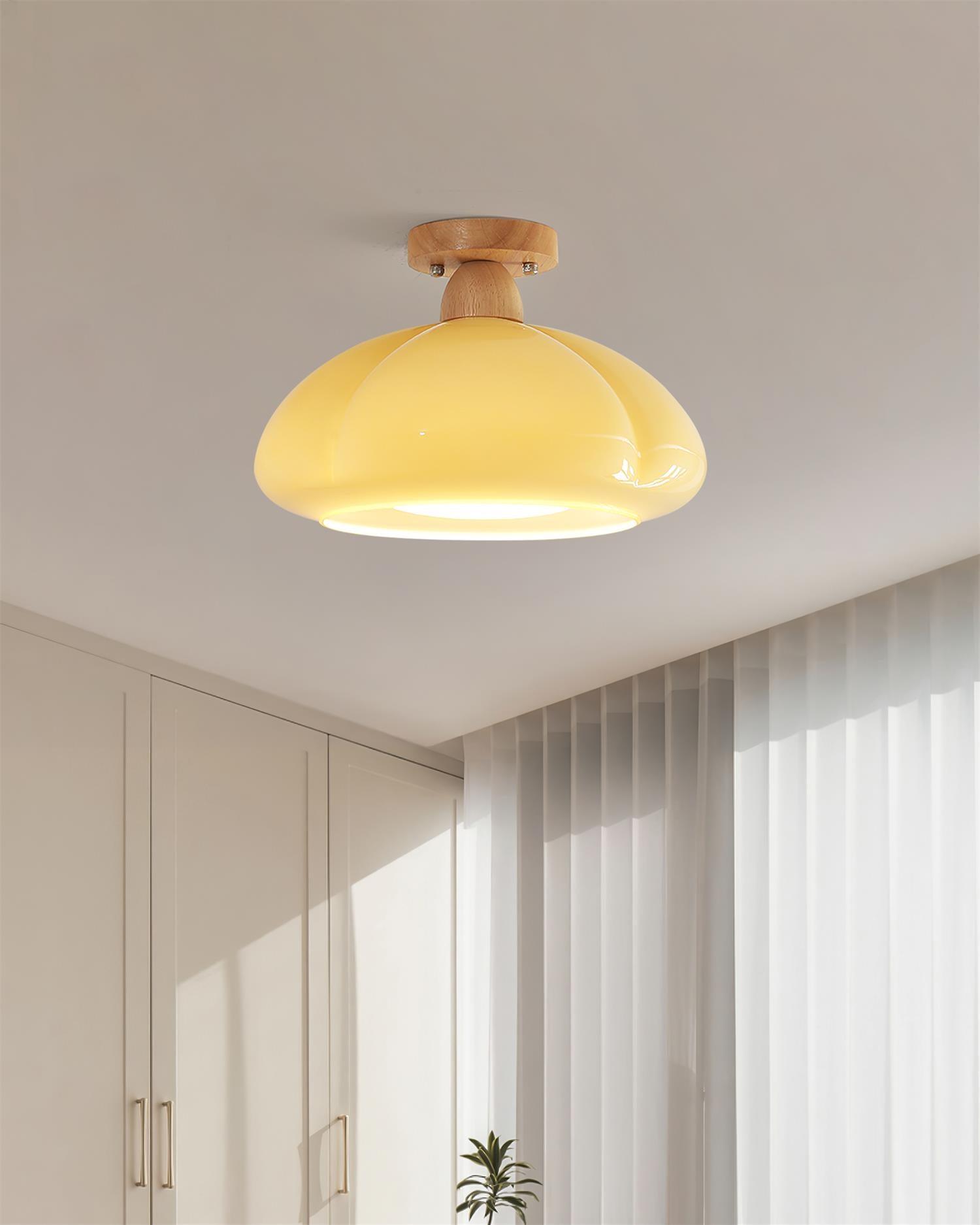 Cipola Ceiling Light