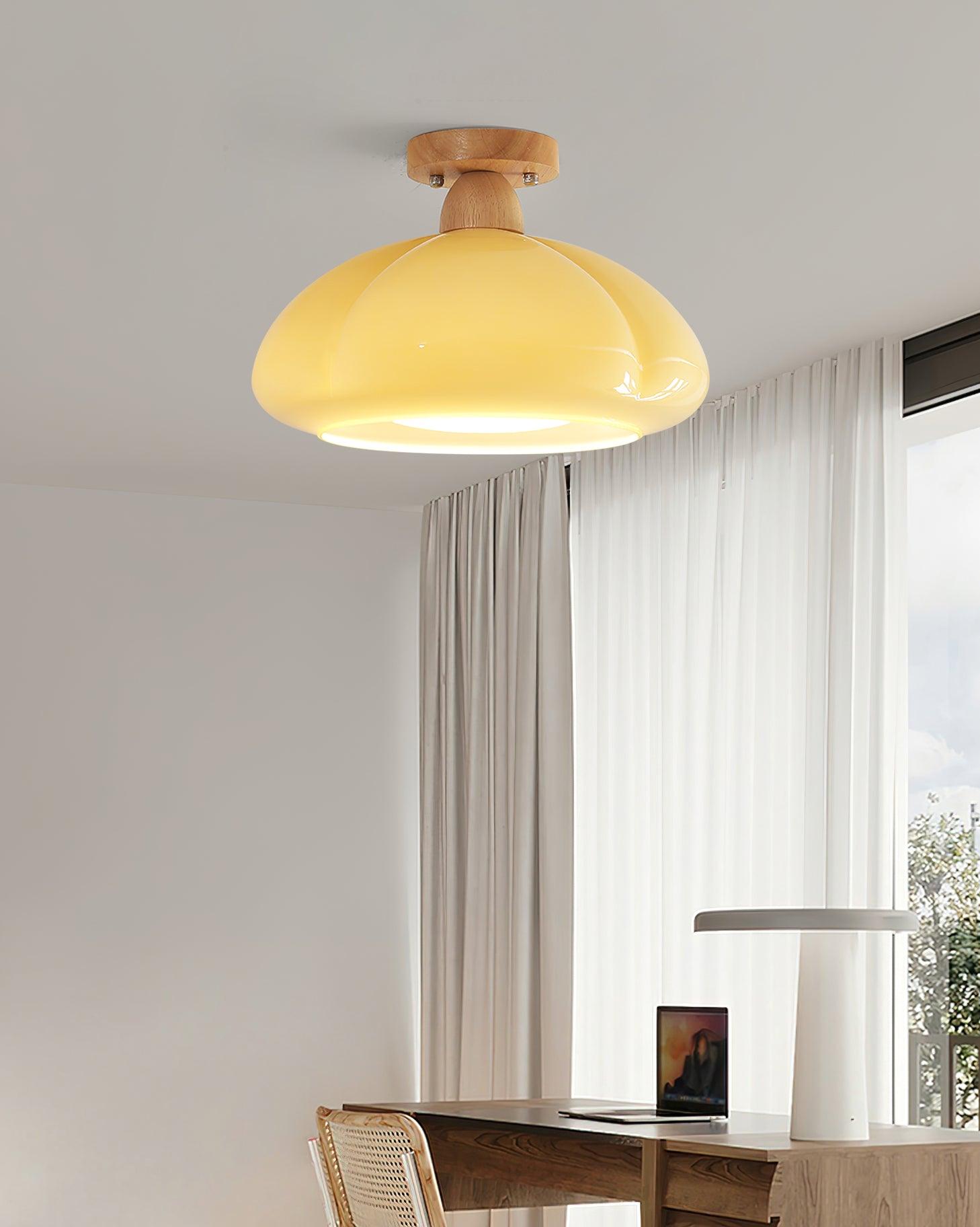 Cipola Ceiling Light