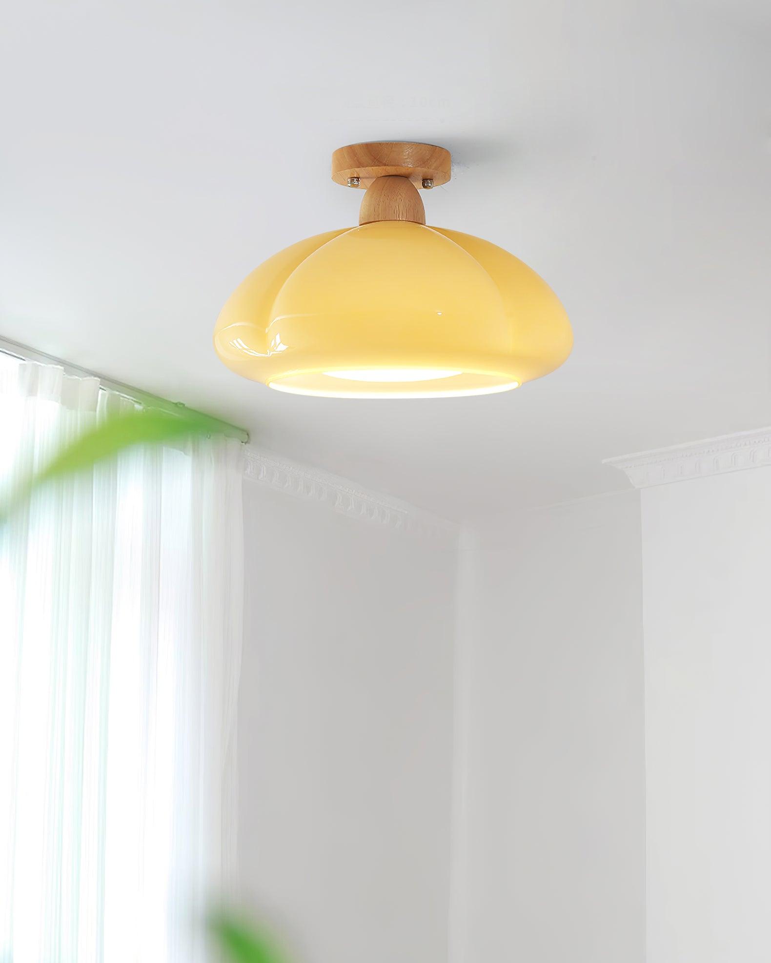 Cipola Ceiling Light