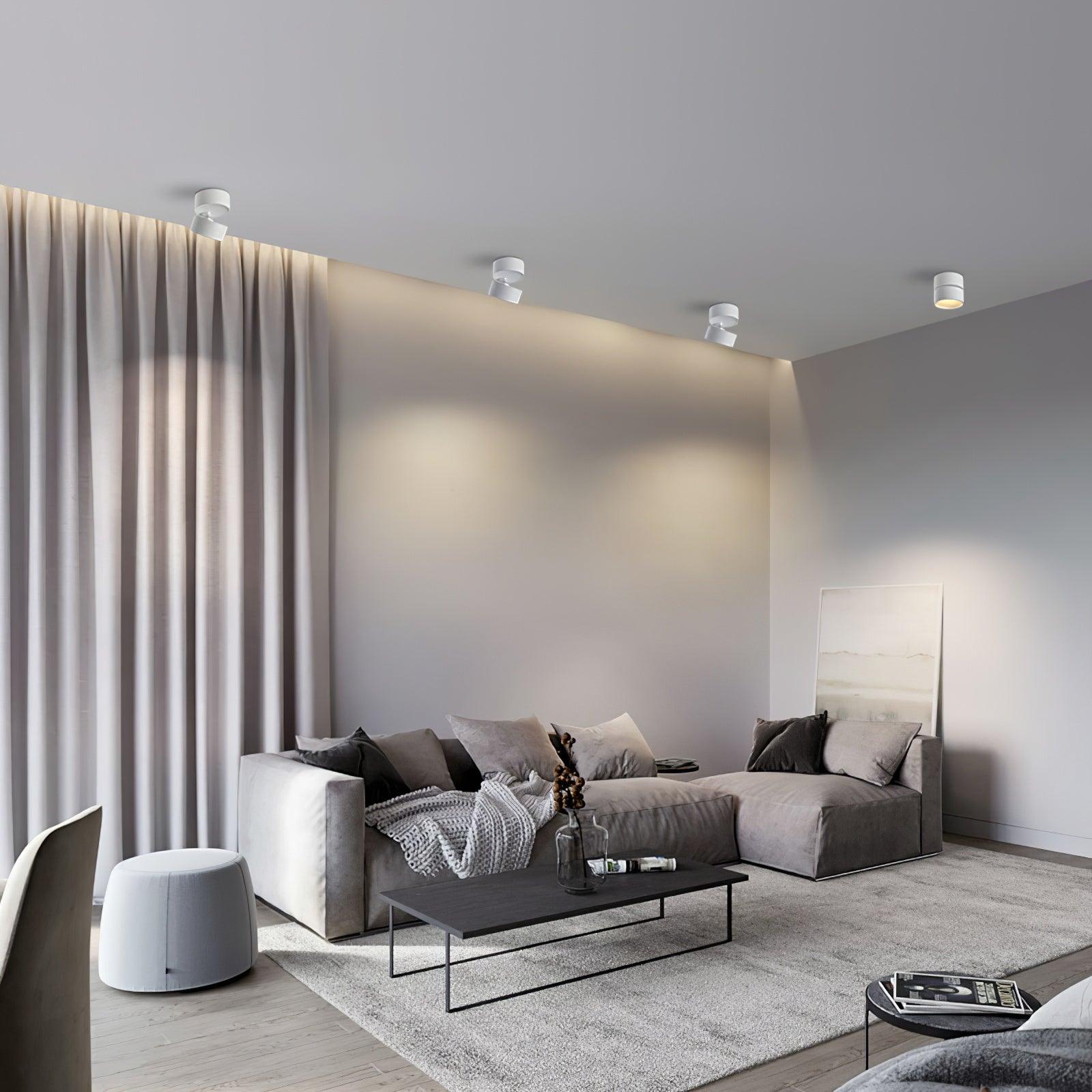 Favilla Surface Recessed Light