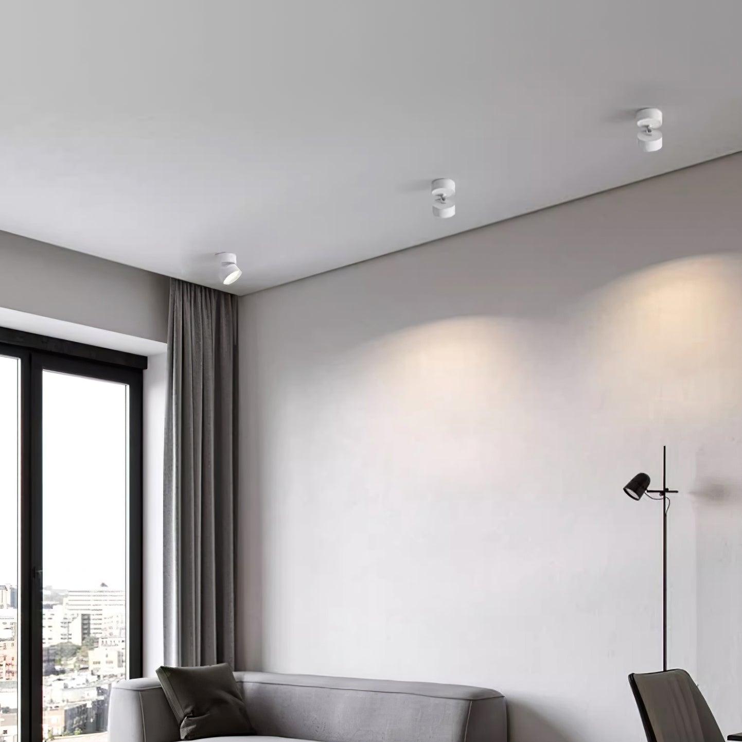 Favilla Surface Recessed Light