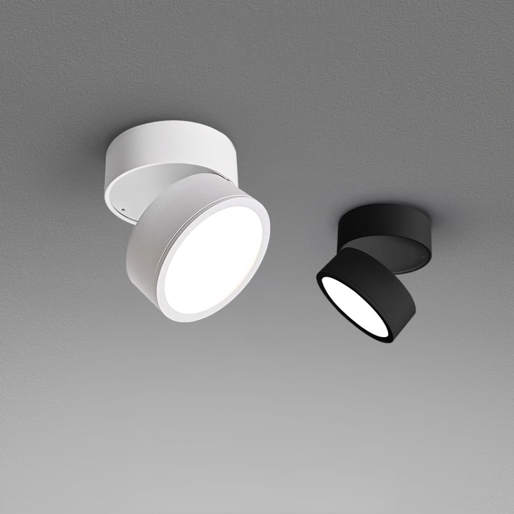 Favilla Surface Recessed Light