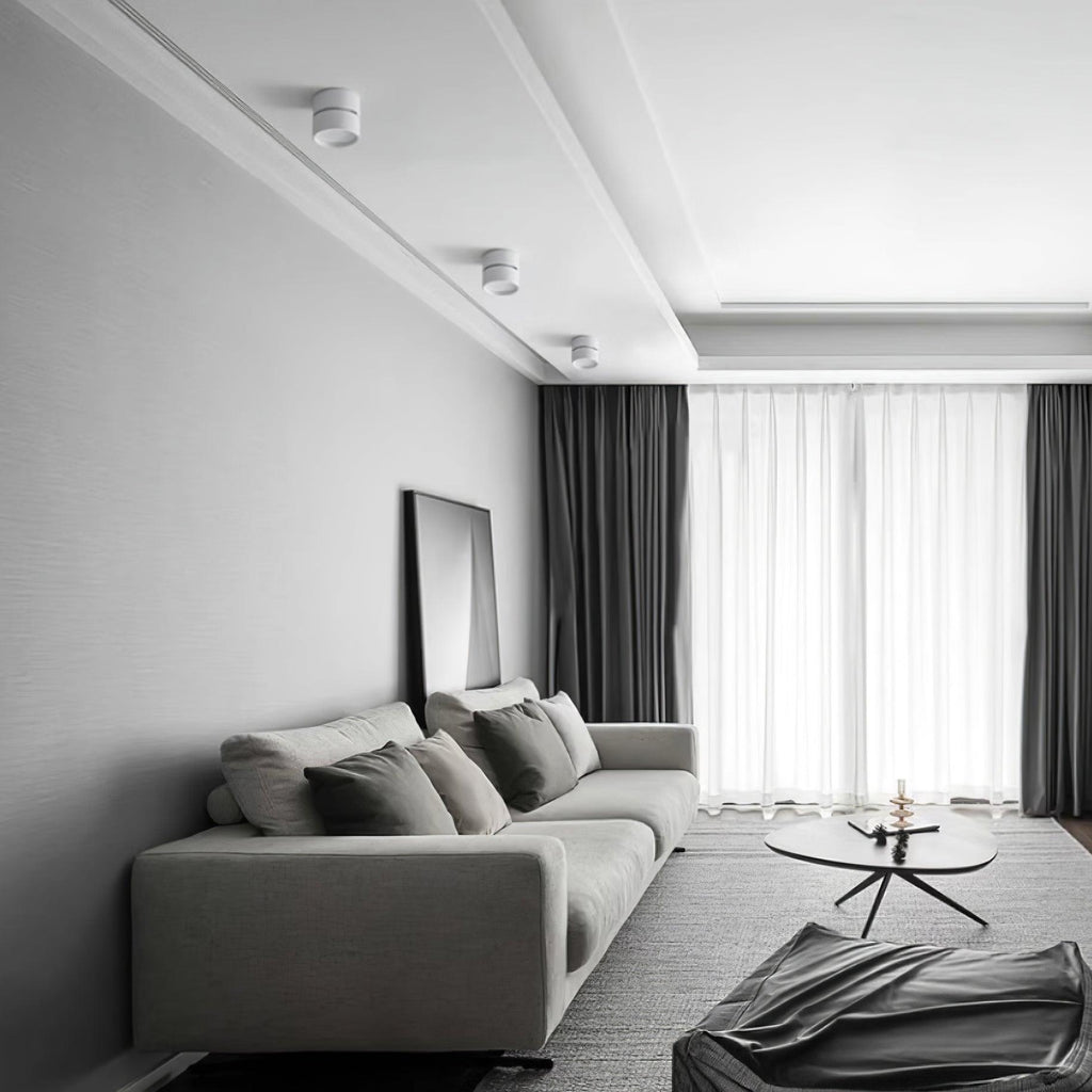Favilla Surface Recessed Light