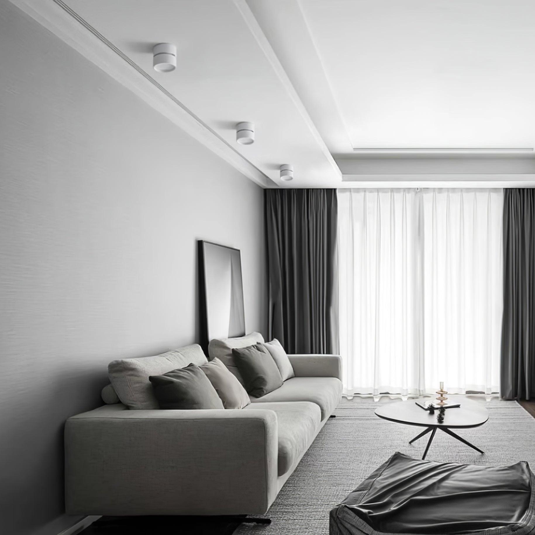 Favilla Surface Recessed Light