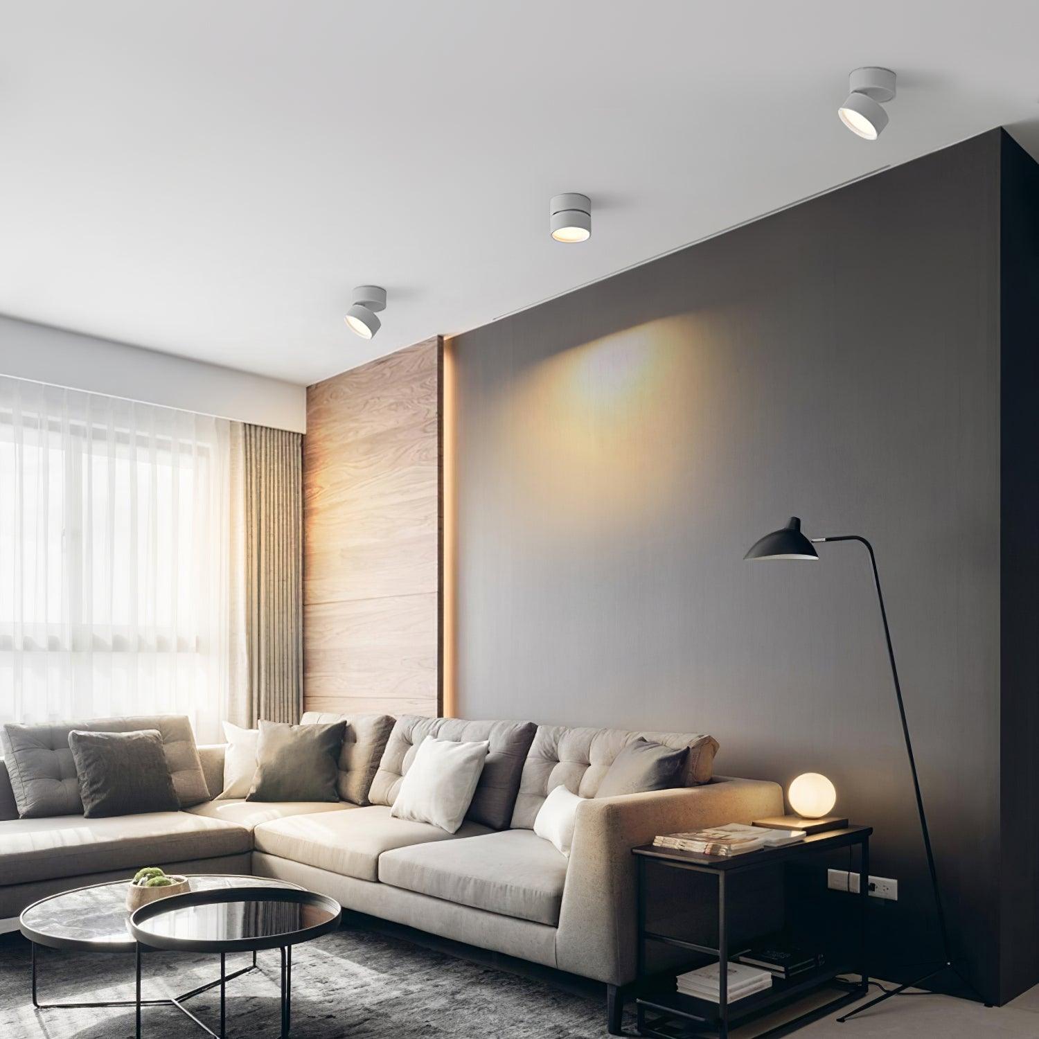 Favilla Surface Recessed Light