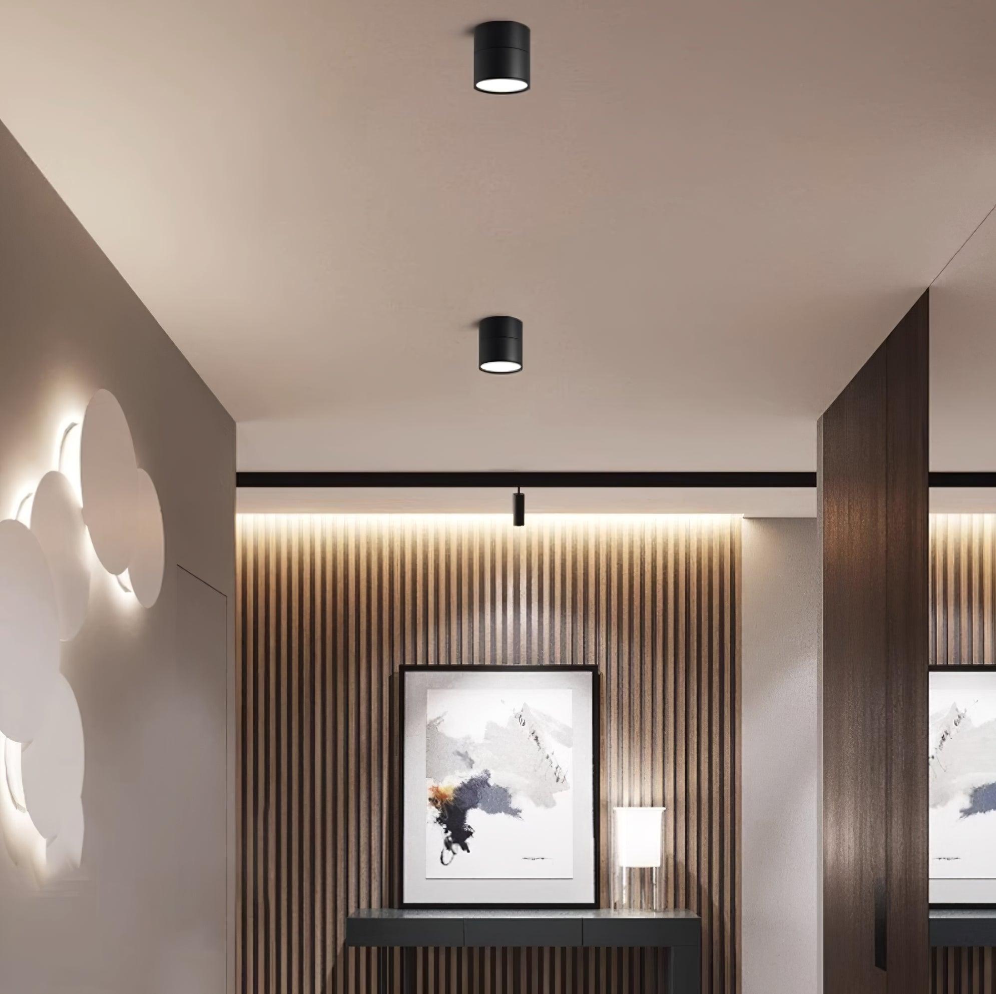 Favilla Surface Recessed Light