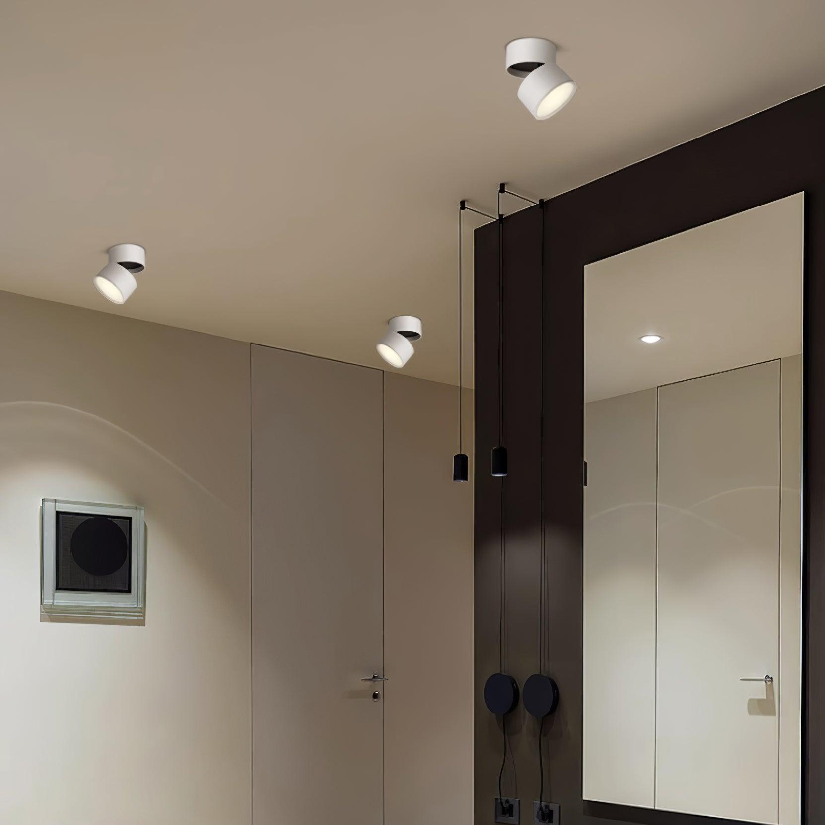 Favilla Surface Recessed Light
