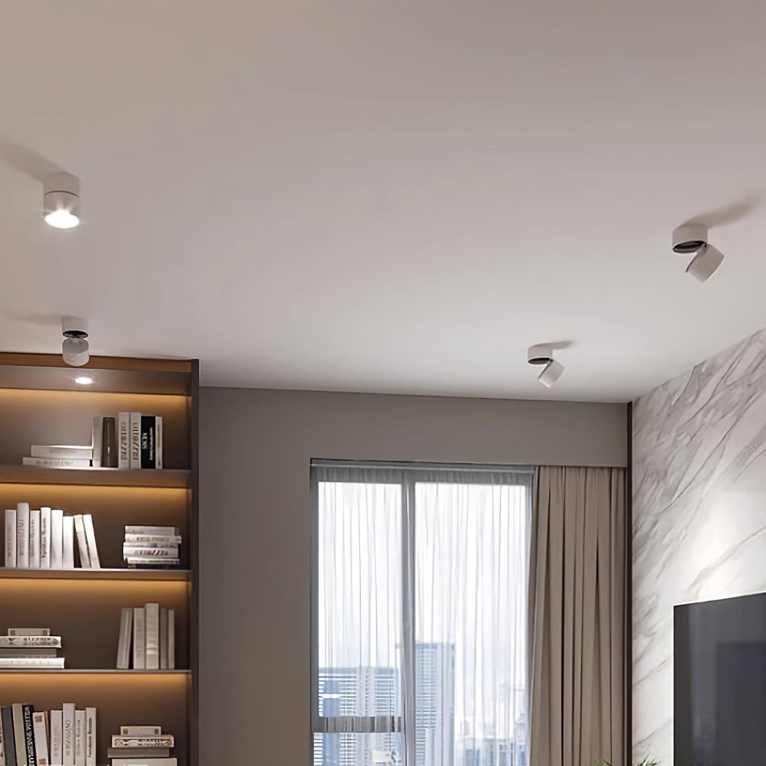 Favilla Surface Recessed Light