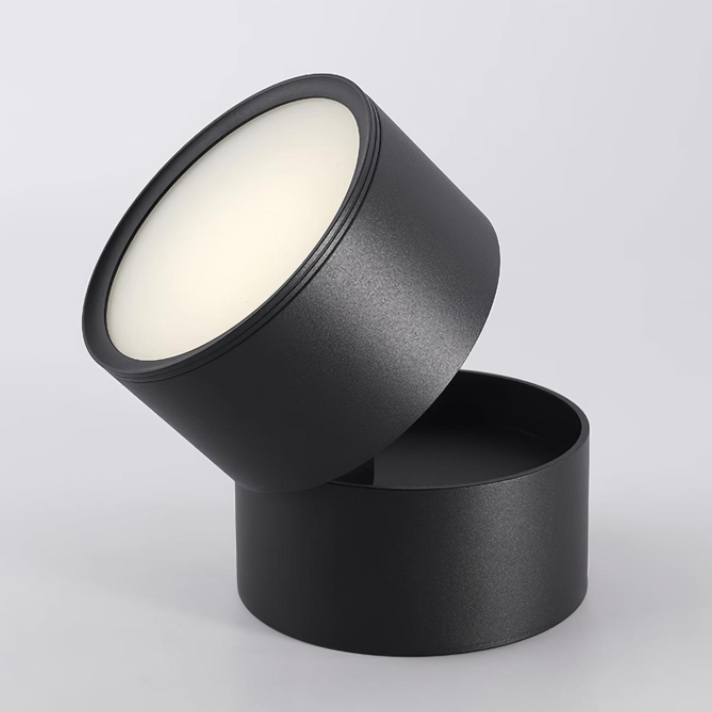 Favilla Surface Recessed Light