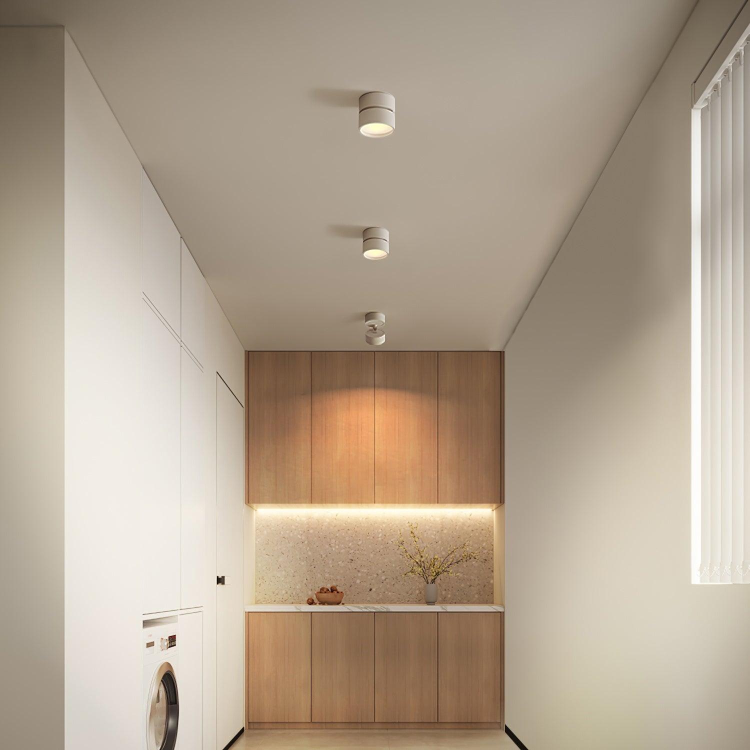 Favilla Surface Recessed Light