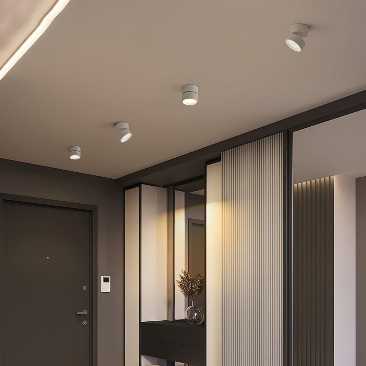Favilla Surface Recessed Light