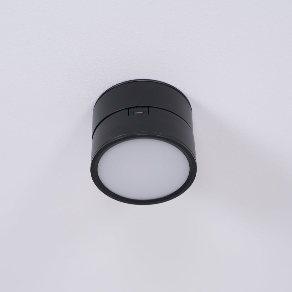 Favilla Surface Recessed Light