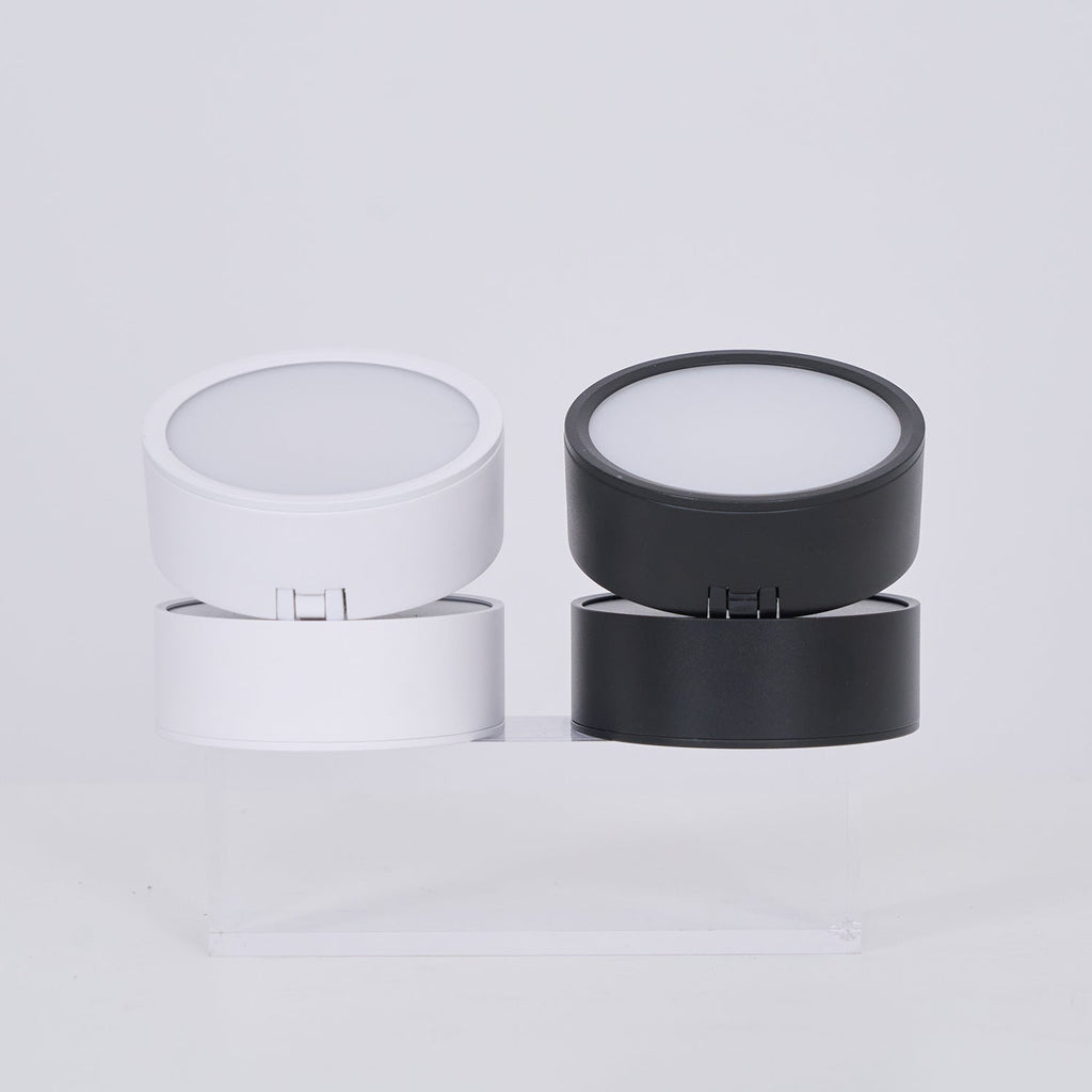 Favilla Surface Recessed Light