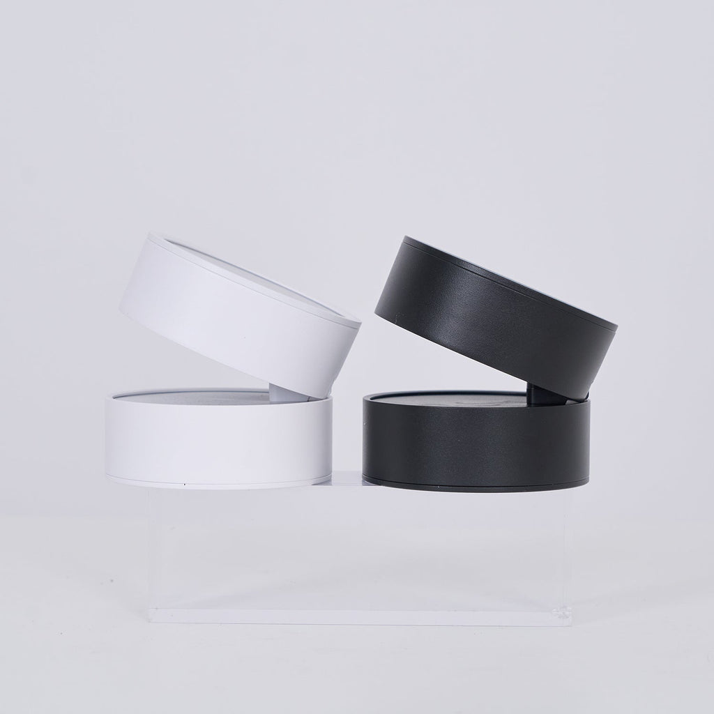 Favilla Surface Recessed Light
