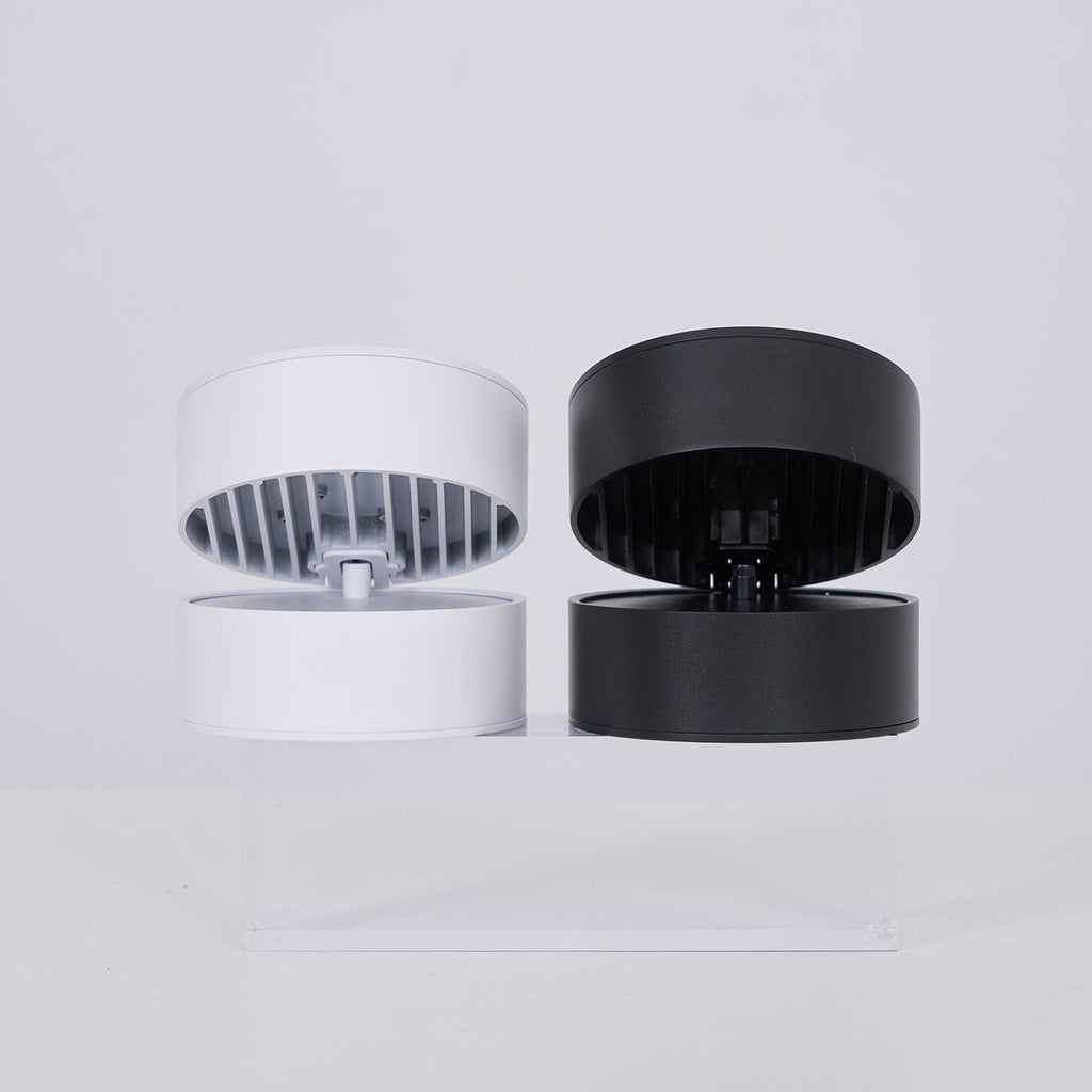 Favilla Surface Recessed Light