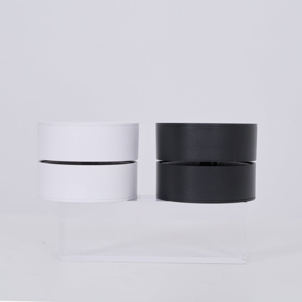 Favilla Surface Recessed Light