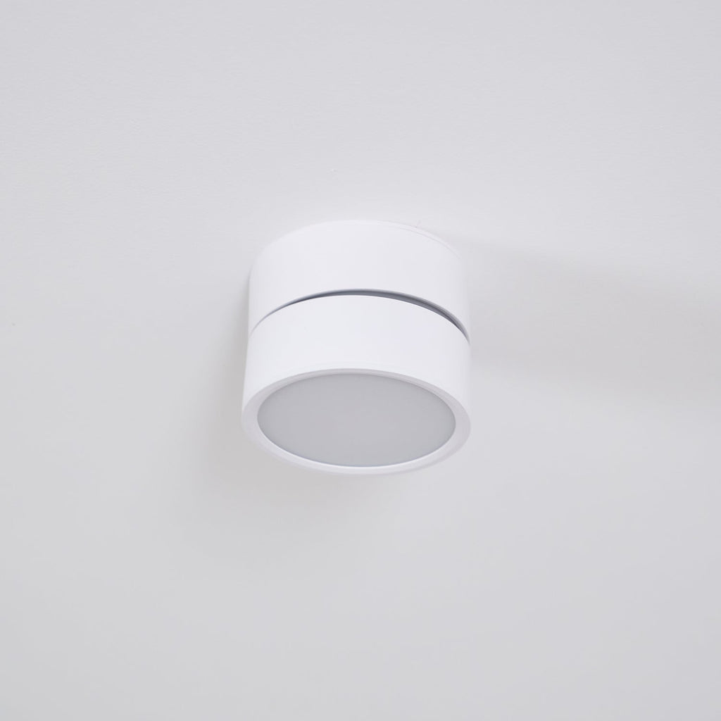 Favilla Surface Recessed Light