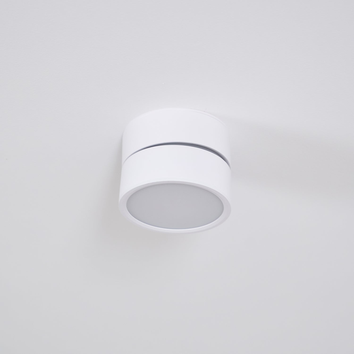 Favilla Surface Recessed Light