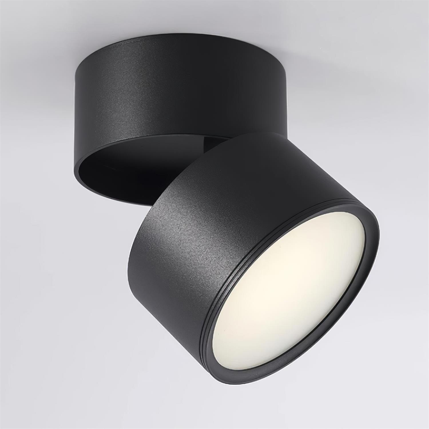 Favilla Surface Recessed Light