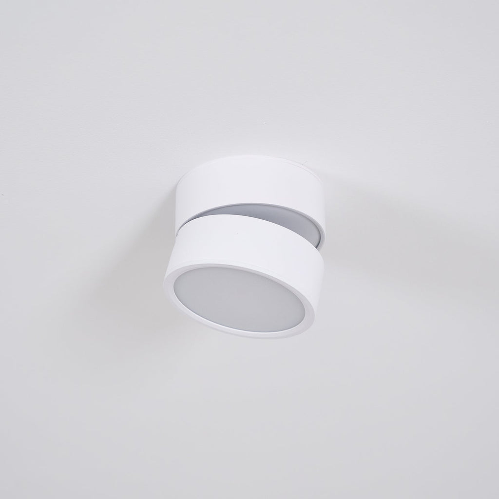 Favilla Surface Recessed Light