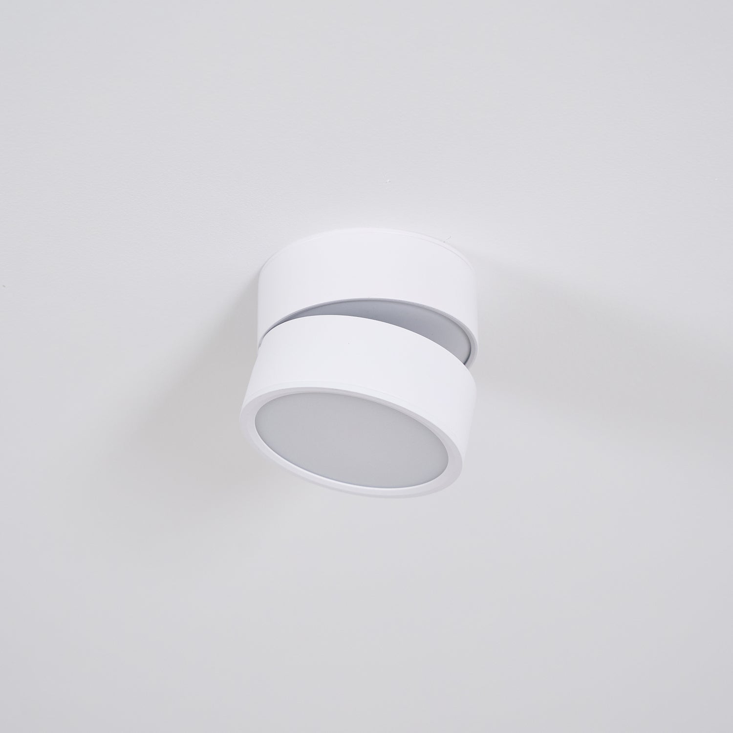 Favilla Surface Recessed Light