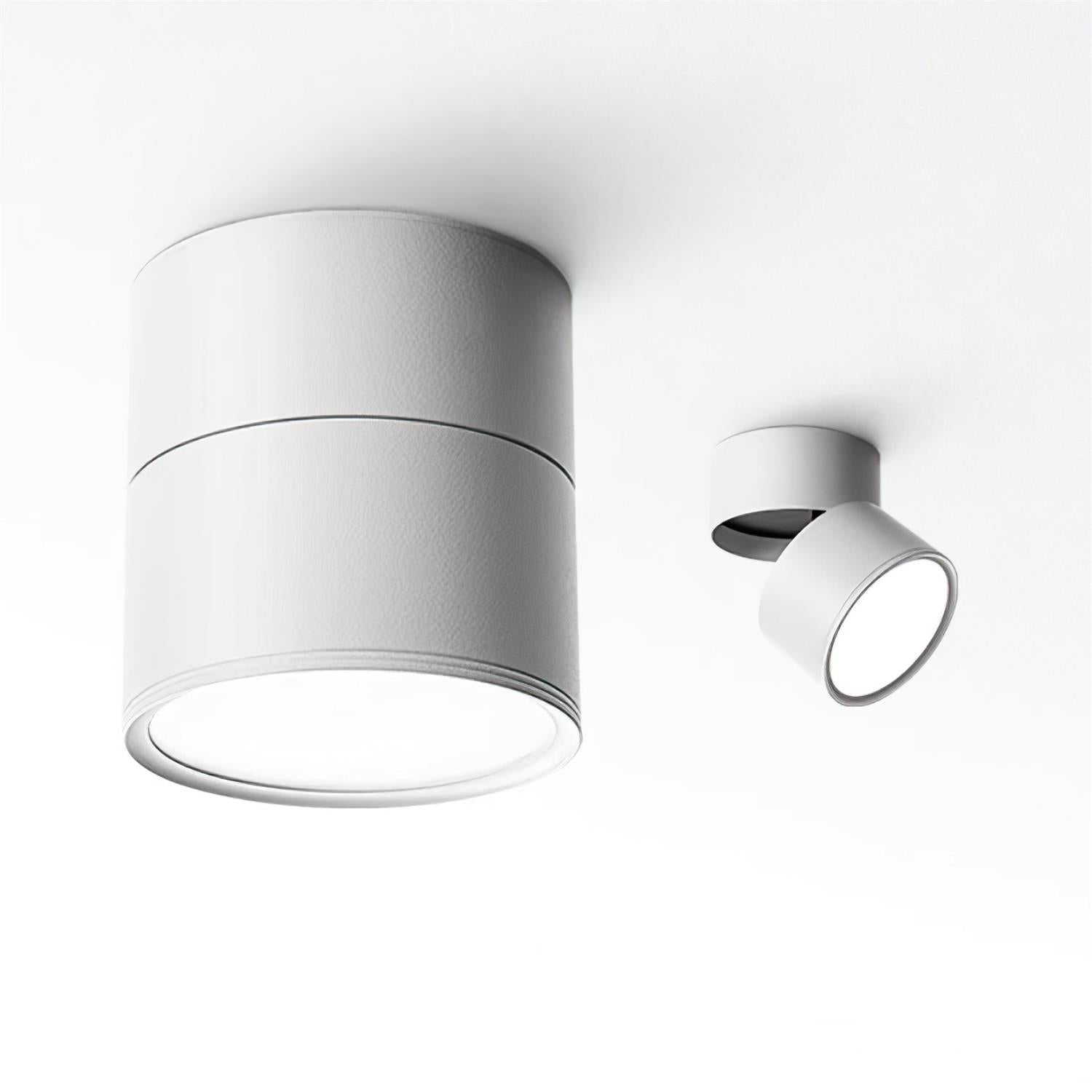 Favilla Surface Recessed Light