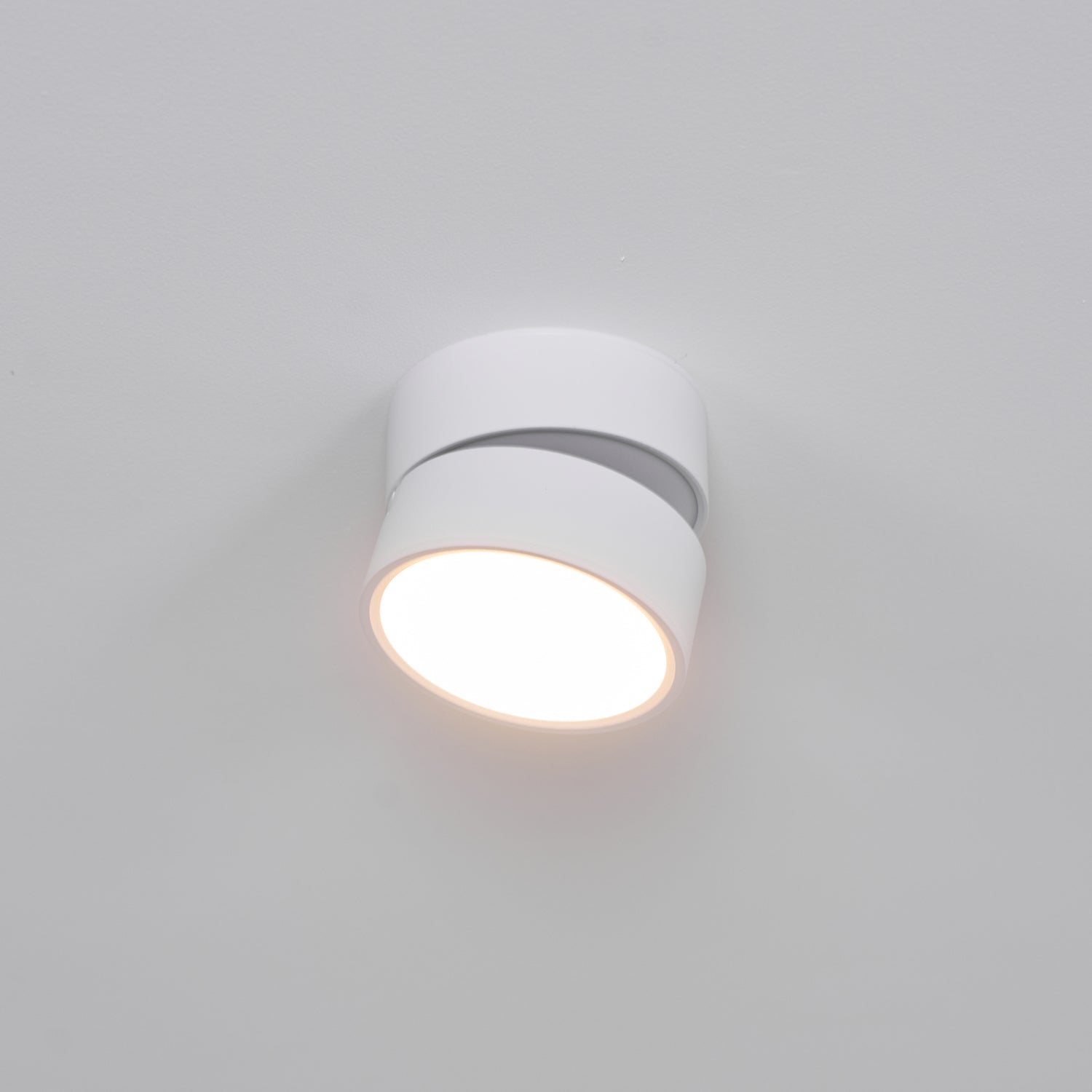Favilla Surface Recessed Light