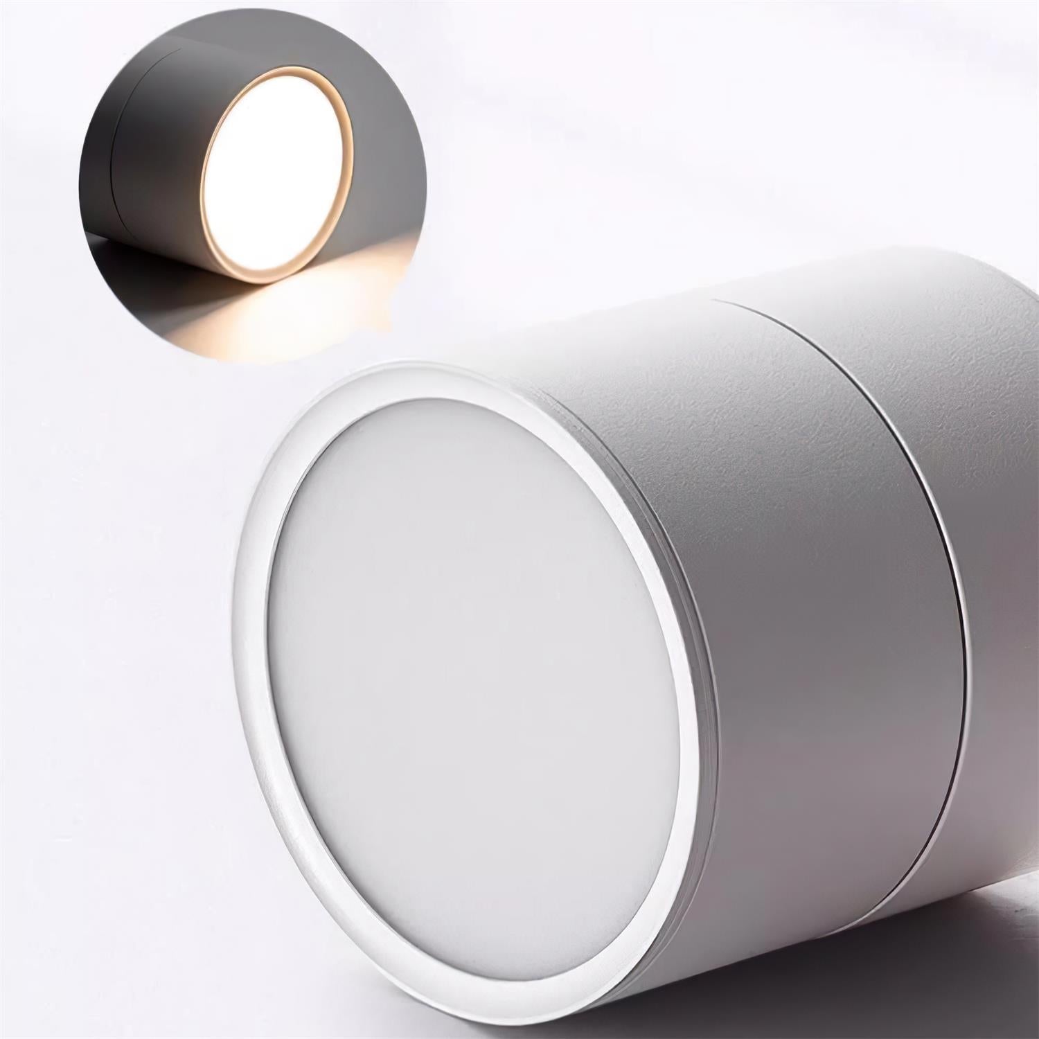 Favilla Surface Recessed Light