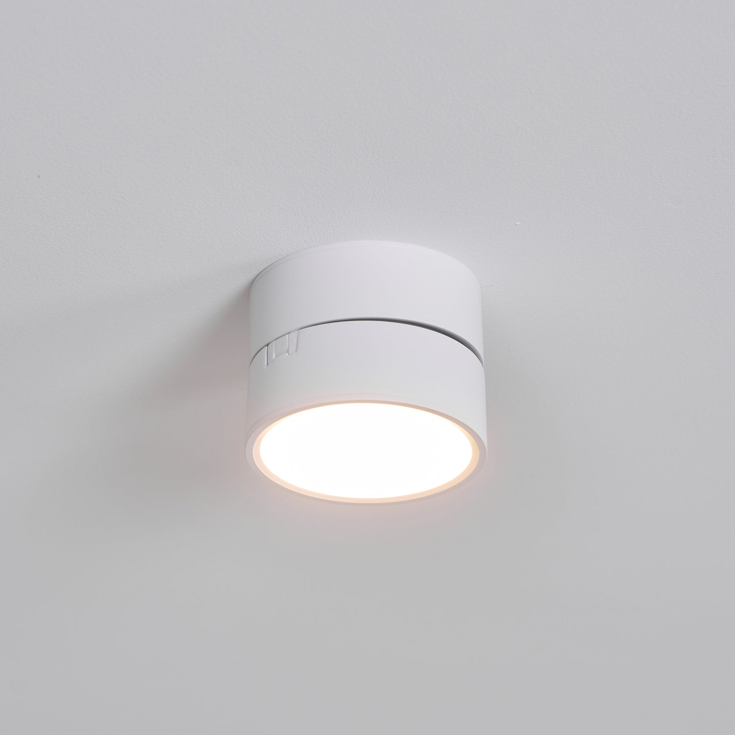 Favilla Surface Recessed Light