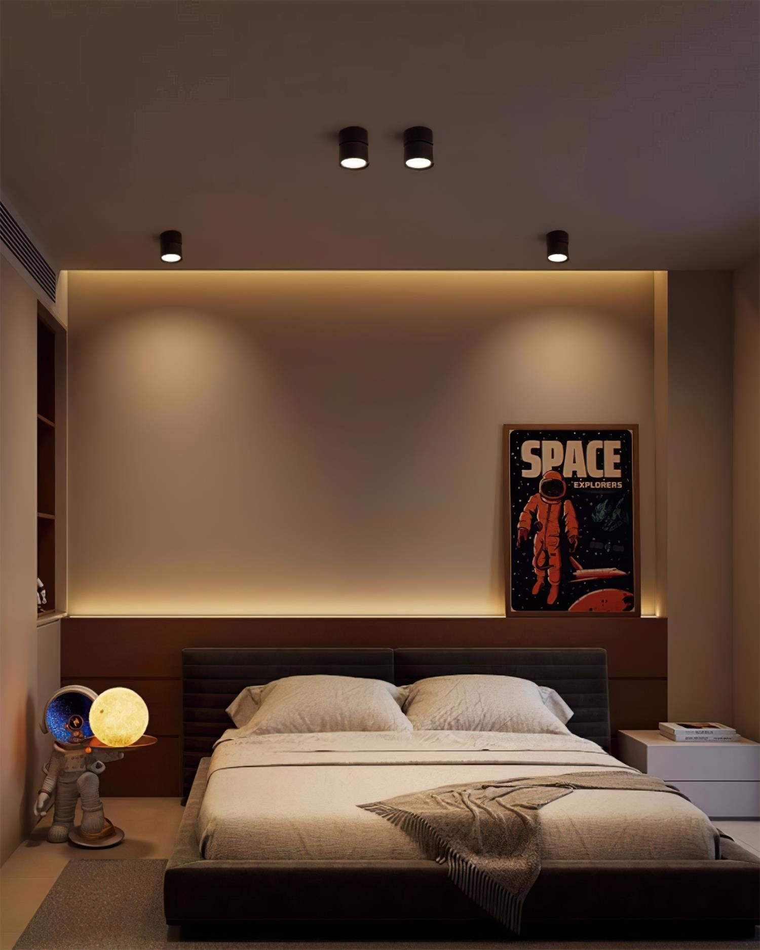 Favilla Surface Recessed Light
