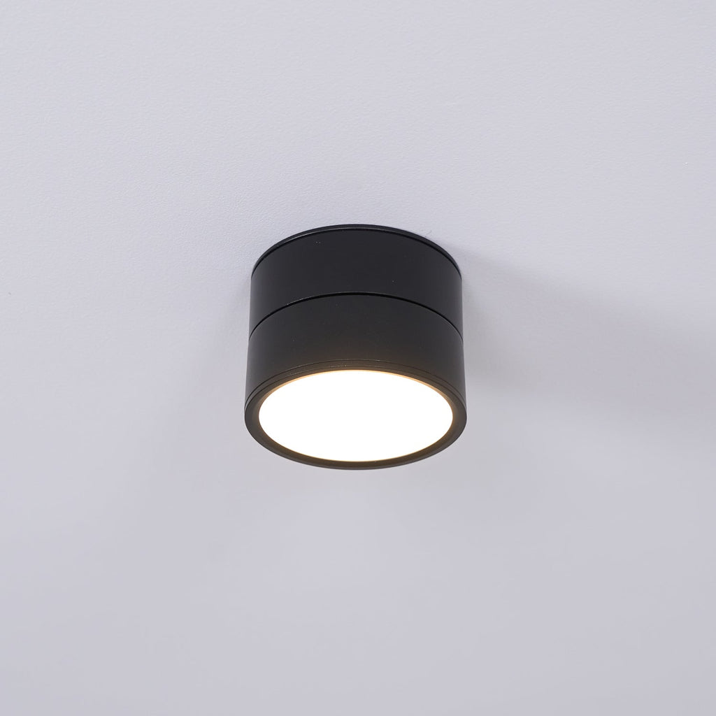 Favilla Surface Recessed Light
