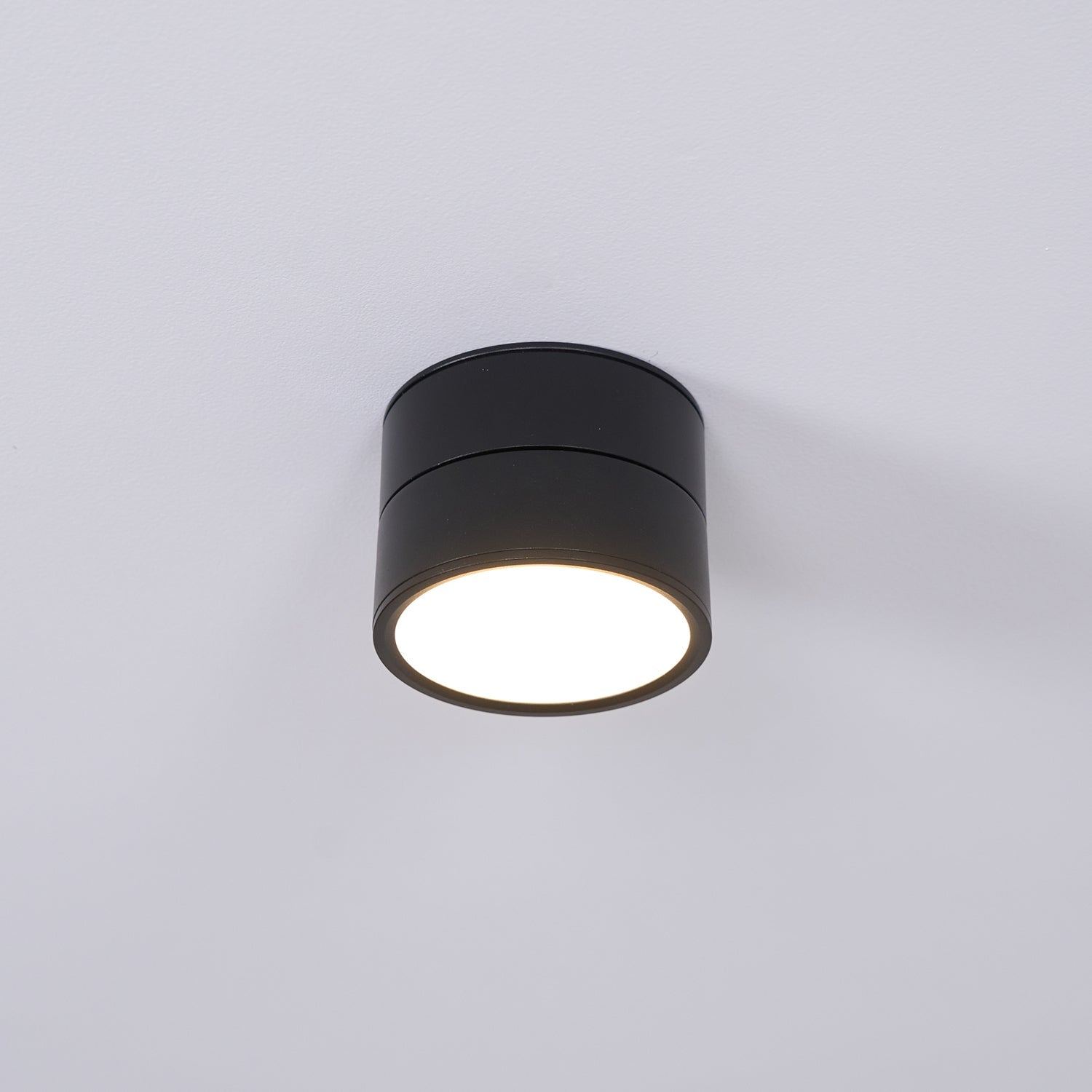 Favilla Surface Recessed Light
