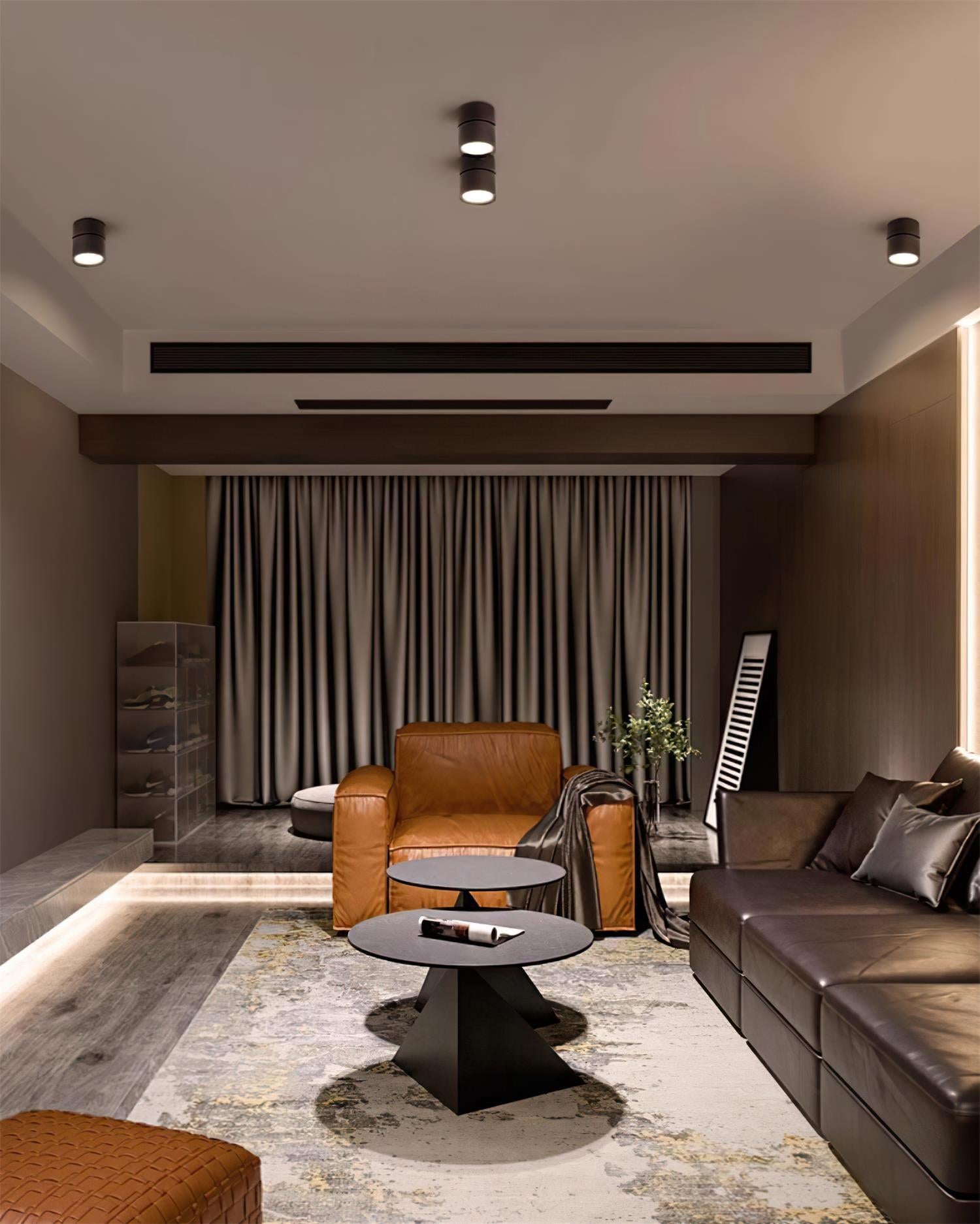 Favilla Surface Recessed Light