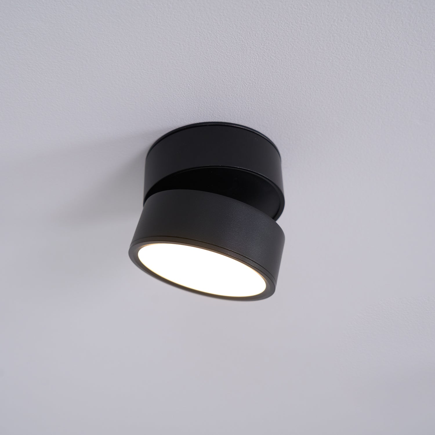 Favilla Surface Recessed Light