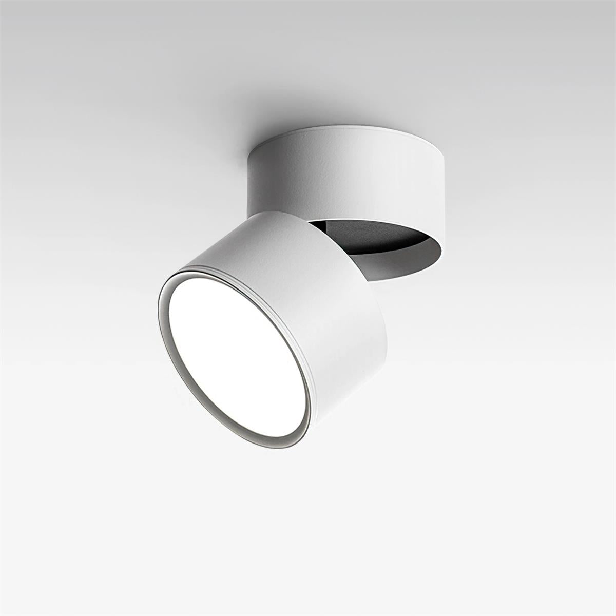 Favilla Surface Recessed Light