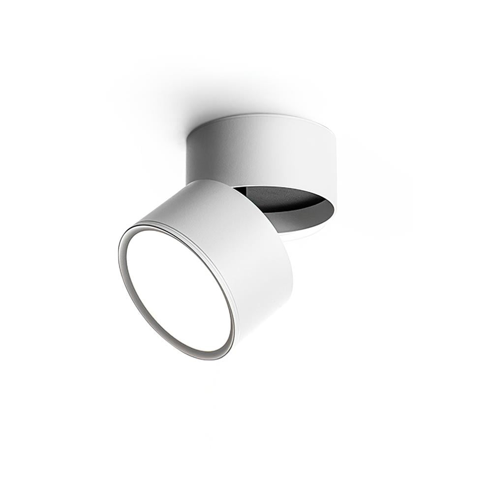 Favilla Surface Recessed Light