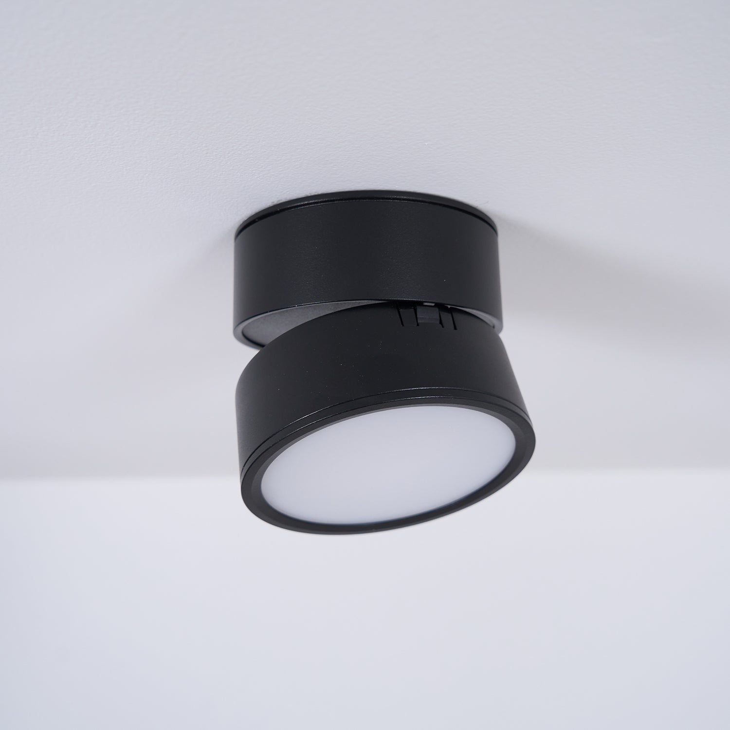 Favilla Surface Recessed Light