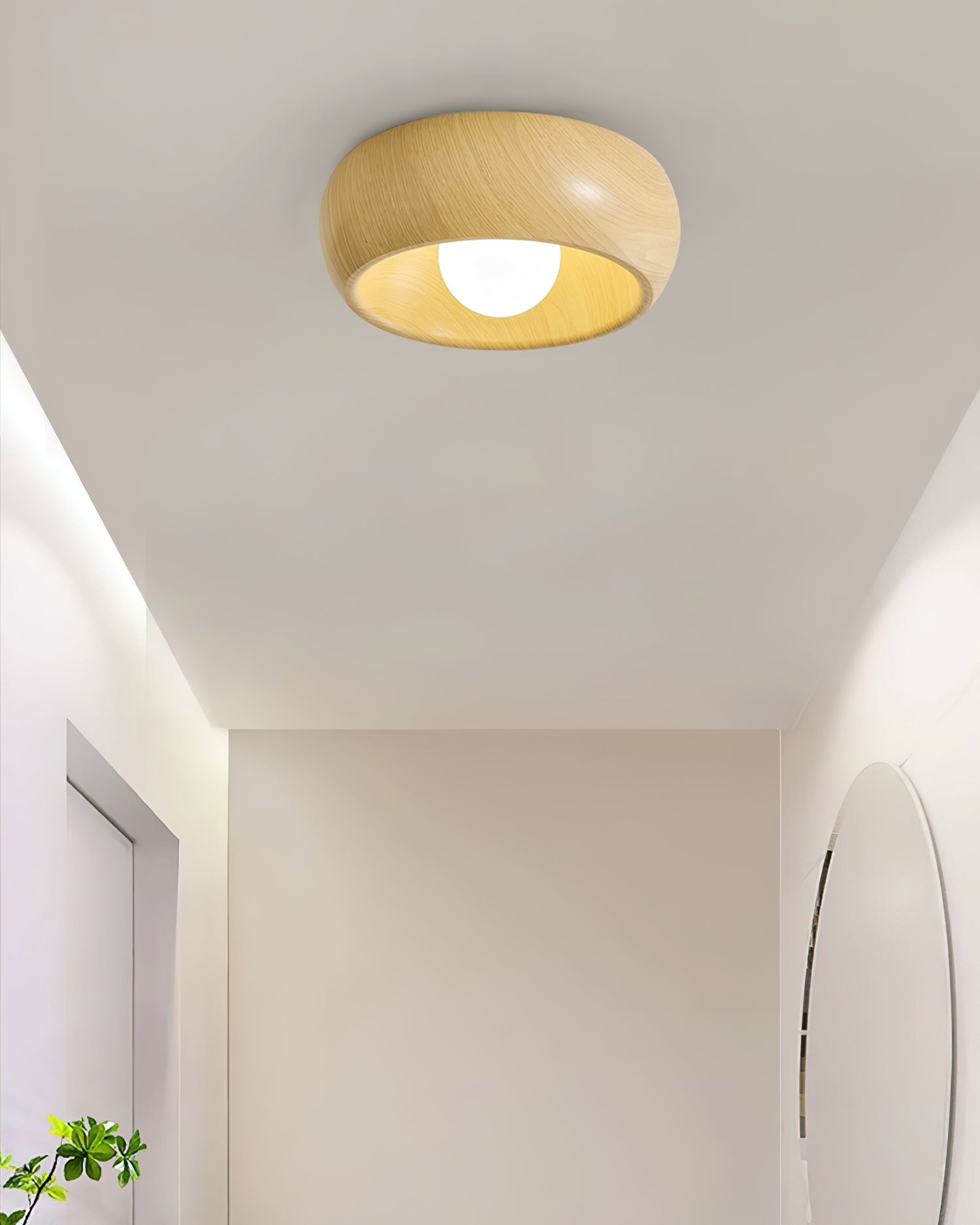 Zuwa Ceiling Light